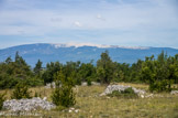 <center>Le mur de la peste</center> Le Ventoux.