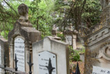 <center>Le cimetière juif.</center>Dans le Comtat Venaissin et à Avignon, on trouve des noms tels que CAVAILLON, BEAUCAIRE, CARCASSONNE, BEDARRIDES, DIGNE, DELPUGET (de Puget, 06), LUNEL, MILLAU et bien d'autres. Il s'agit vraisemblablement de Juifs expulsés de France au Moyen Âge et de Provence quand elle a été rattachée à la France. Les Etats du Pape constituaient pour eux une sorte de refuge acceptable.
En 1808, l'application du décret de Bayonne imposait aux Juifs de choisir un prénom et un nom de famille fixe. Les juifs de France devaient se rendre dans la mairie de leur lieu de résidence afin d’inscrire dans des registres leurs noms et prénoms. Beuacoup ont choisi comme nom celui d'un lieu, d'une ville.