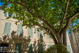 <center>L'hôtel de ville : La coumuno.</center>L'hôtel particulier de Croze
Originaire des Mées, la famille de Croze fait souche à Pertuis au XVIe siècle. Plusieurs de ses membres ont été des 