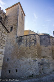Au cours des siècles, la famille de Balbe-Berton semble avoir surtout résidé dans ses hôtels de Pernes et d'Avignon, ou encore, à partir du XVIIIe s., dans son hôtel parisien, devenu le célèbre hôtel Crillon.